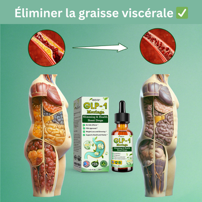 CROAIE® GLP-1 Gouttes Minceur à la Moringa ✅ Brûleur de graisse 100 % naturel, développé par des experts en perte de poids. Pour une silhouette affinée et une santé renforcée.