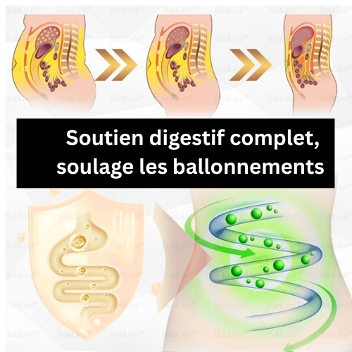 CROAIE® GLP-1 Gouttes Minceur à la Moringa ✅ Brûleur de graisse 100 % naturel, développé par des experts en perte de poids. Pour une silhouette affinée et une santé renforcée.