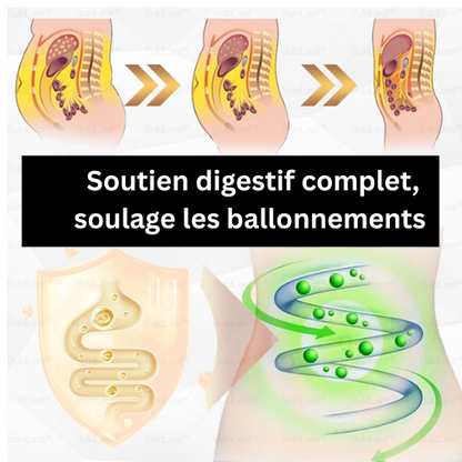 CROAIE® GLP-1 Gouttes Minceur à la Moringa ✅ Brûleur de graisse 100 % naturel, développé par des experts en perte de poids. Pour une silhouette affinée et une santé renforcée.