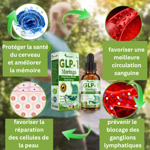 CROAIE® GLP-1 Gouttes Minceur à la Moringa ✅ Brûleur de graisse 100 % naturel, développé par des experts en perte de poids. Pour une silhouette affinée et une santé renforcée.